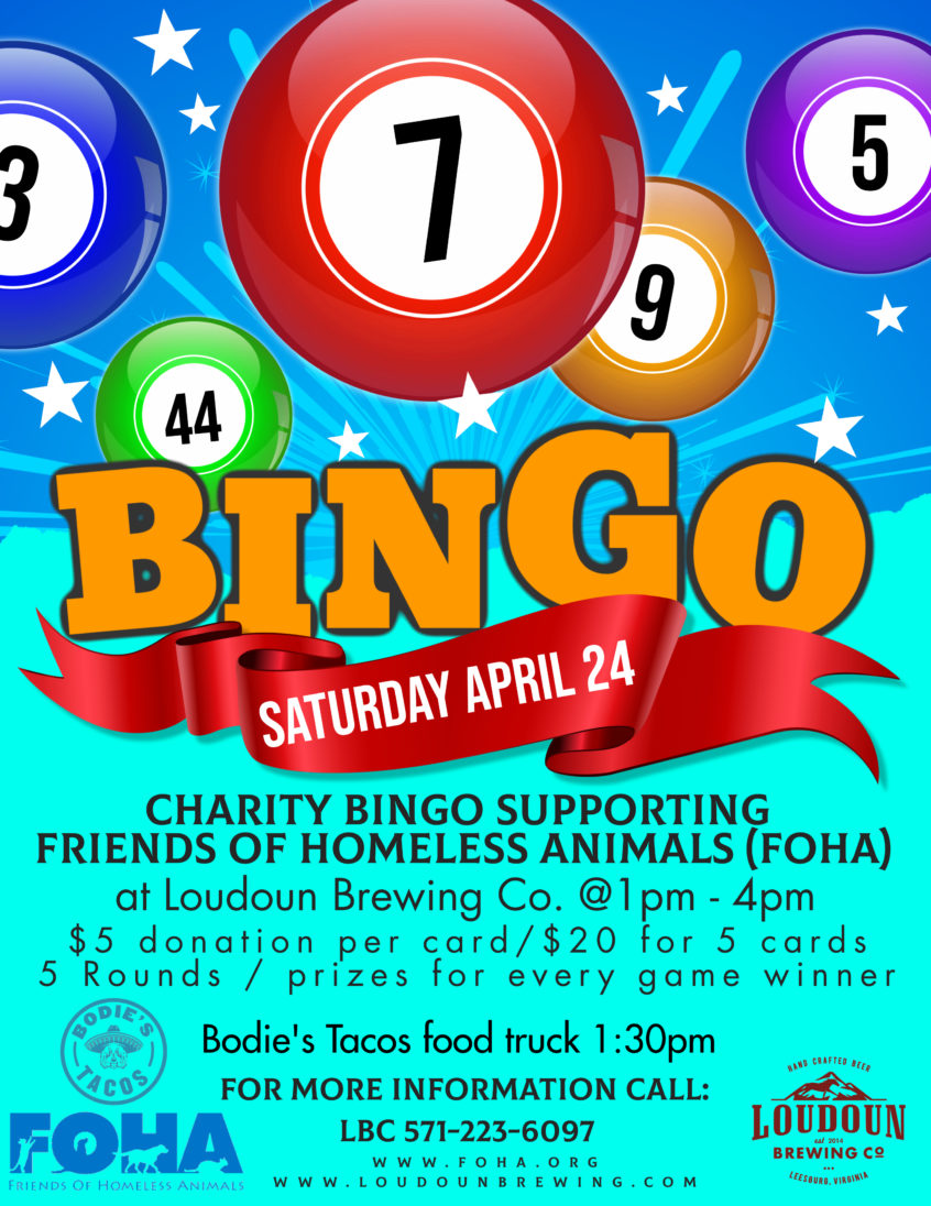 Charity Bingo supporting Friends of Homeless Animals (FOHA) - 1pm-4pm ...